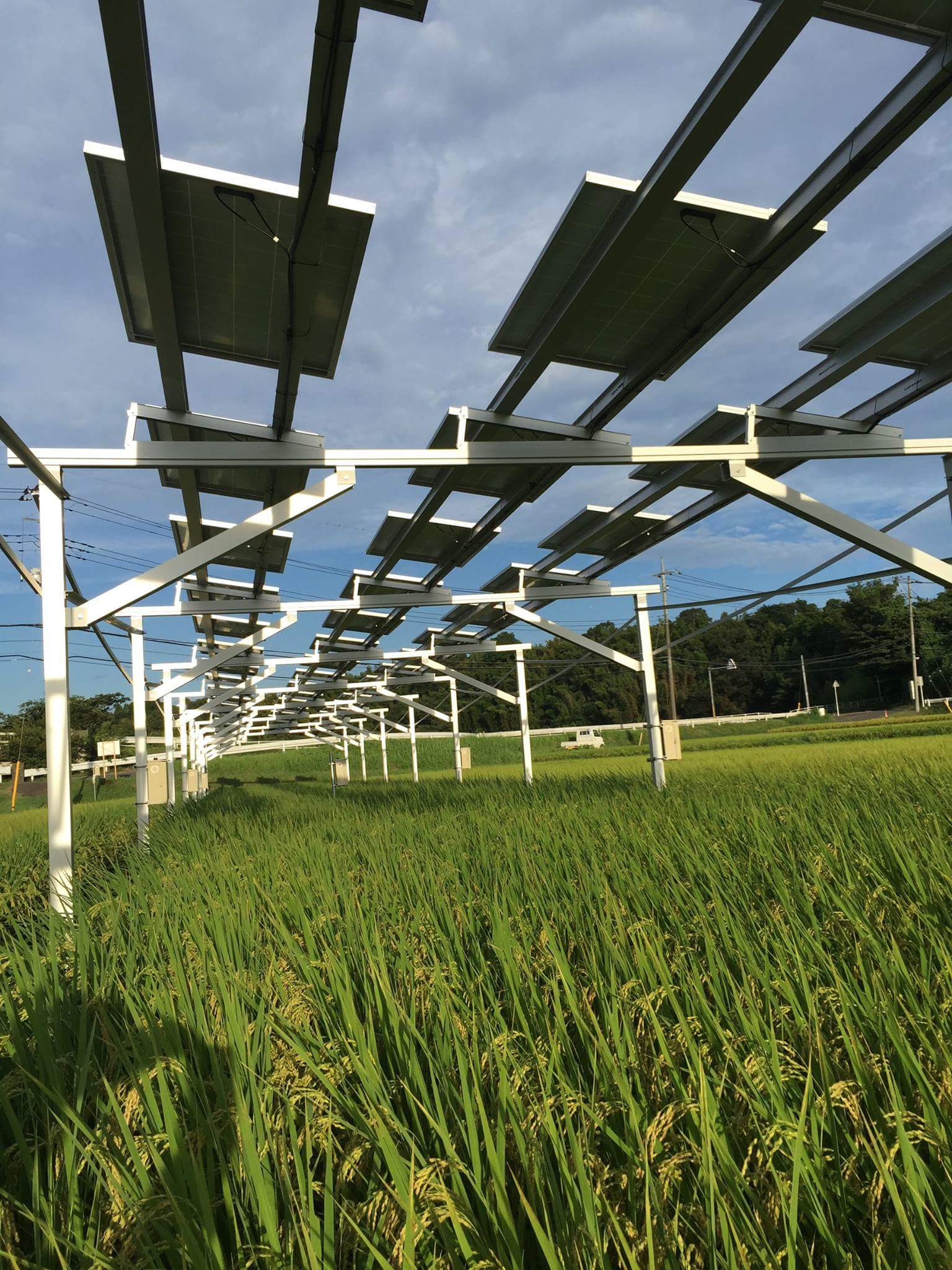 太陽エネルギー農場プロジェクト 89kw